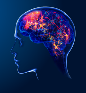 Exomind Treatment - S-Thetics - Beaconsfield