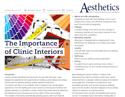 S-Thetics featured in Aesthetics Journal